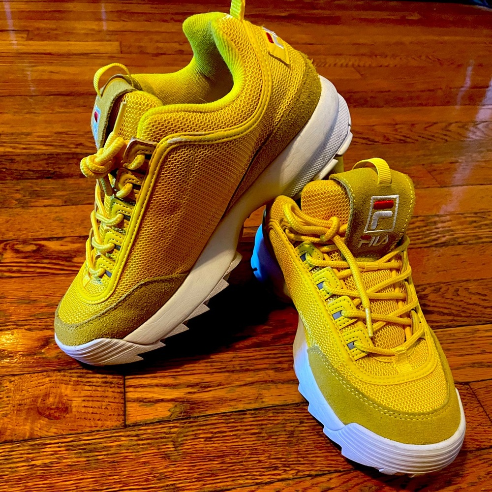Fila disruptor